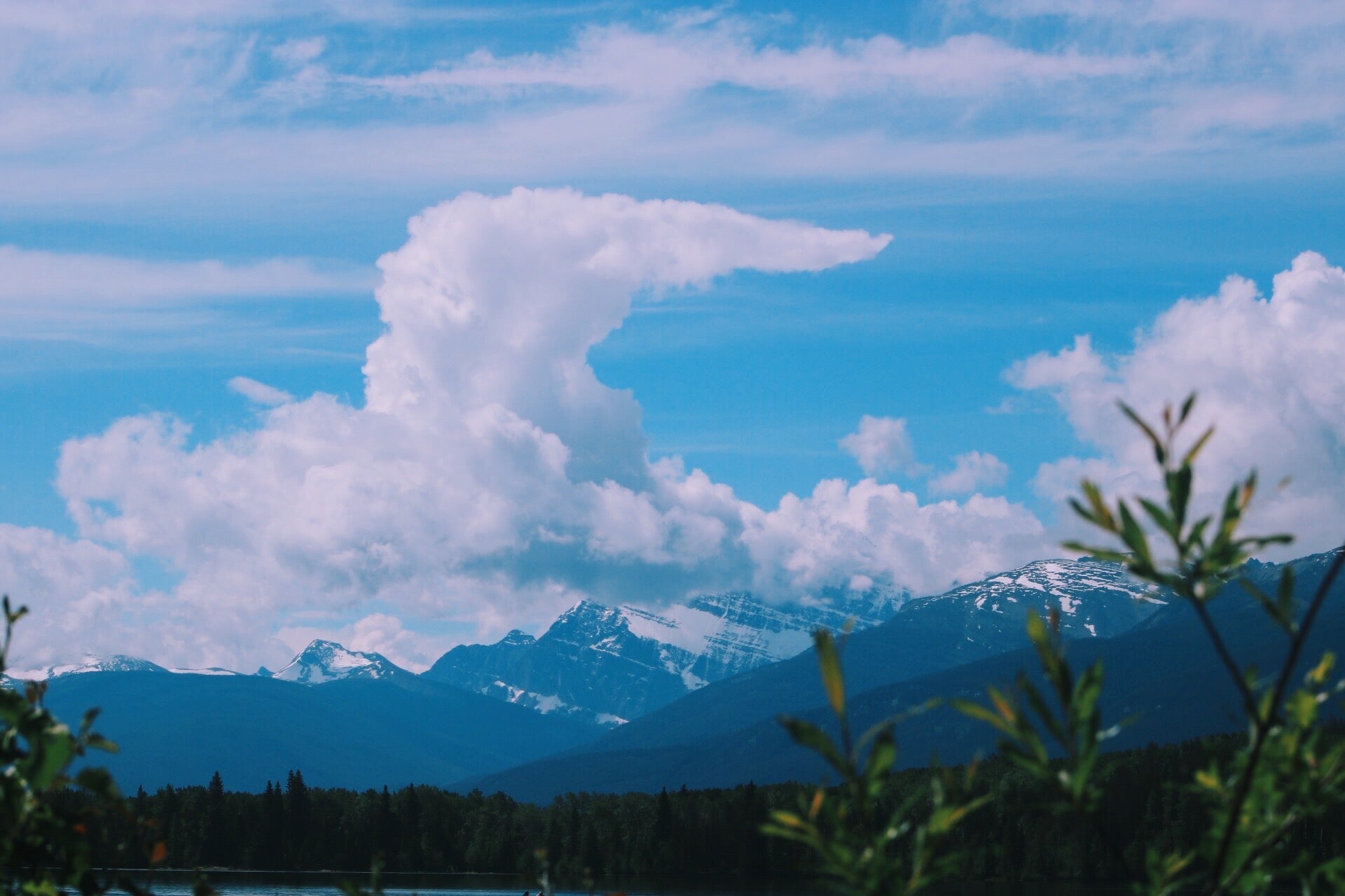 Scenery + vibes