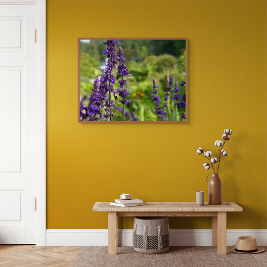 Buzz lavender