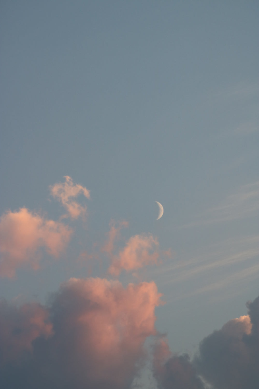 Remember to Dream